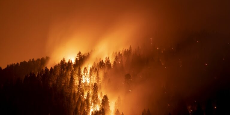 d41586-021-02990-w_19810224 Queimadas agravadas pelo aquecimento global